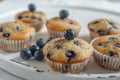 Freshly baked vanilla blueberry muffins