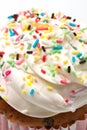 Freshly baked vanilla cupcakes Royalty Free Stock Photo