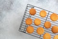 Freshly baked vanilla cupcakes cool down on wire rack Royalty Free Stock Photo