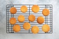 Freshly baked vanilla cupcakes cool down on wire rack Royalty Free Stock Photo