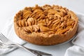 Freshly baked warm Apple Tart Royalty Free Stock Photo