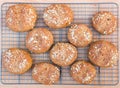 Freshly baked the whole grain bread rolls. Royalty Free Stock Photo