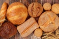 Freshly baked whole grain homemade bread, various varieties of round sourdough bread with crispy crust and ears of rye and wheat Royalty Free Stock Photo