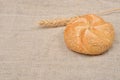 Freshly baked whole grain round sandwich bun sprinkled with sesame seeds with ears of wheat near on jute background. Whole grain Royalty Free Stock Photo