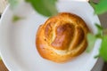 Freshly baked yeast brioche bun on white plate on green house plants background. Easter holiday baking. Morning breakfast