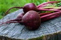 Freshly beets on an old tree stump. Royalty Free Stock Photo