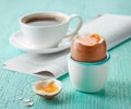 Freshly boiled breakfast egg Royalty Free Stock Photo