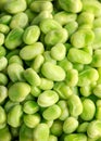 Freshly boiled, cooked green broad beans in a bowl ready to eat Royalty Free Stock Photo