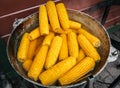 Freshly boiled corn cobs