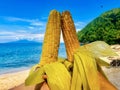 Freshly boiled corn in the tourists hands