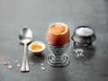 Freshly boiled egg Royalty Free Stock Photo