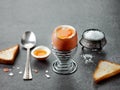 Freshly boiled egg Royalty Free Stock Photo