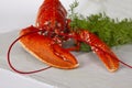 Freshly boiled red lobster lying on a table with dill. Close up Royalty Free Stock Photo