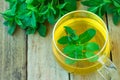 Freshly Brewd Herbal Mint Tea in Glass Cup Green Herbs on Plank Wood Garden Table Holistic Medicine Healthy Drink Detox Ayurveda Royalty Free Stock Photo