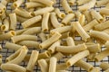Macaroni pasta in drying Royalty Free Stock Photo