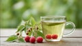 Freshly Brewed Raspberry Leaf Tea in Glass Cup with Fresh Red Raspberries on Rustic Wooden Table Royalty Free Stock Photo