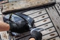 Close-up of brown surgeonfish on the deck. Royalty Free Stock Photo