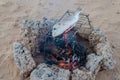 Freshly caught fish being grilled over open campfire out in the desert Royalty Free Stock Photo
