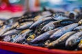 Freshly caught fish on the counter of a fishmonger in Kuala Lumpur, Malaysia. The catch of the day from the morning is sold fresh Royalty Free Stock Photo