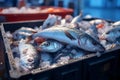 Freshly caught fish sorted in ice filled crates for transport and sale