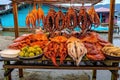 freshly caught octopus and squid displayed at a seafood stall