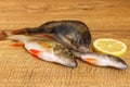 Freshly caught river fish roach and perch with lemon on a wooden surface. Royalty Free Stock Photo