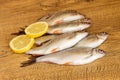 Freshly caught roach fish lies on a wooden surface with lemon.