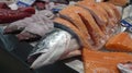 Freshly caught salmon and freshly cut salmon fillets, ready for sale at the fish market Royalty Free Stock Photo