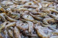 Freshly caught shrimp on the counter of a fishmonger in Kuala Lumpur, Malaysia. The catch of the day from the morning is sold Royalty Free Stock Photo