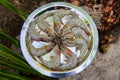 Freshly caught shrimp on a round iron platter, close-up. King prawns in a shell before cooking. Seafood restaurant Royalty Free Stock Photo