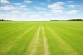 freshly chalked white line on a green grass field