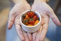 Freshly cherry tomatoes on hand. Royalty Free Stock Photo