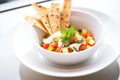 freshly chopped vegetables with crispy pita on a white bowl Royalty Free Stock Photo