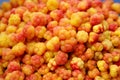 Freshly collected Cloudberries Rubus chamaemorus background. Yellow berry background