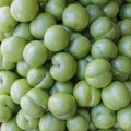 Freshly collected green plums