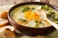 Freshly cooked broccoli cheese soup in a bowl with toast close-up. horizontal