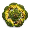 Freshly cooked broccoli florets arranged in a circular pattern on a white background Royalty Free Stock Photo