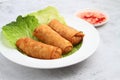 Freshly cooked Filipino food called Lumpiang Toge Royalty Free Stock Photo