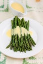 Freshly cooked green asparagus with hollandaise sauce Royalty Free Stock Photo