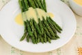 Freshly cooked green asparagus with hollandaise sauce Royalty Free Stock Photo