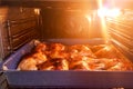 Freshly cooked at home chicken legs Royalty Free Stock Photo