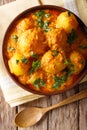 Freshly cooked Indian potatoes Dum aloo in curry sauce close-up. vertical top view