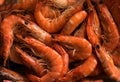 Freshly cooked king prawns