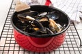 Freshly cooked mussels in a red enamel pot Royalty Free Stock Photo