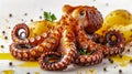 Freshly Cooked Octopus with Herbs and Spices on a White Plate, Gourmet Seafood Dish Presentation