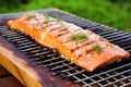 freshly cooked salmon on cedar plank with grill marks