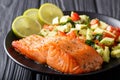 Freshly cooked salmon steak with lime, avocado and tomatoes close-up. horizontal Royalty Free Stock Photo