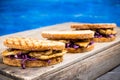 Freshly cooked sandwiches with roasted chicken, purple cabbage and mushrooms Royalty Free Stock Photo