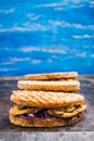 Freshly cooked sandwiches with roasted chicken, purple cabbage and mushrooms Royalty Free Stock Photo