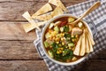 Freshly cooked tortilla soup with chicken and vegetables close-up. horizontal top view Royalty Free Stock Photo